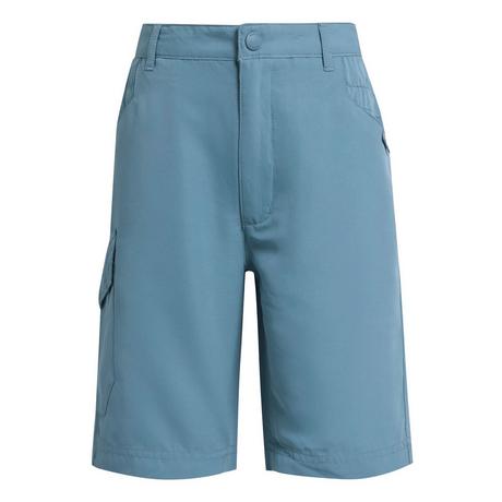 Regatta  Sorcer II Shorts 