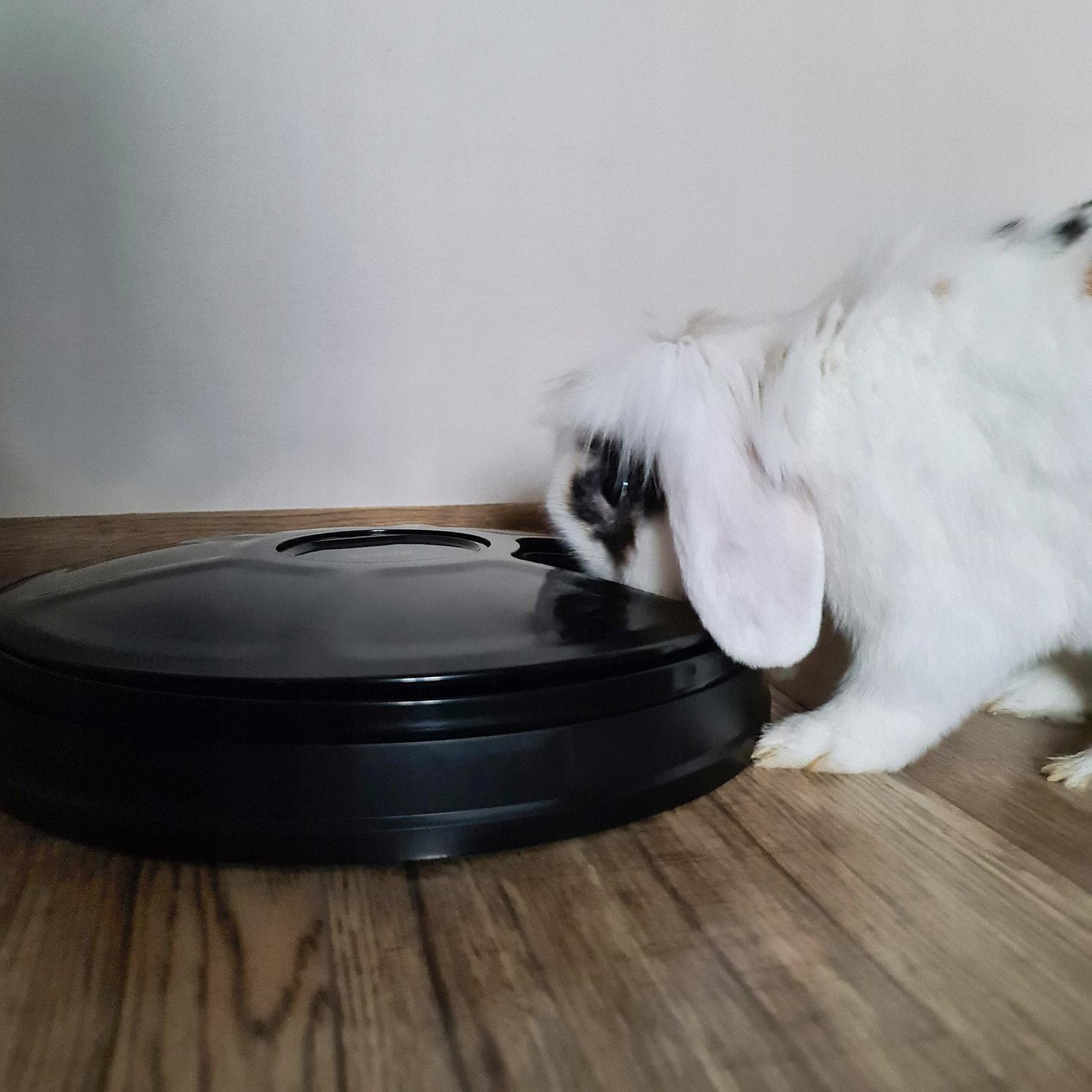 Purlov  Machine d'alimentation avec minuterie 