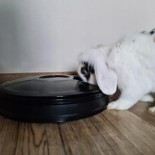 Purlov  Machine d'alimentation avec minuterie 