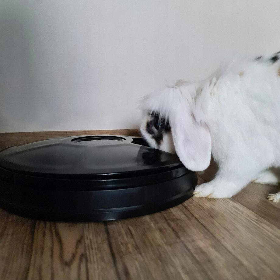 Purlov  Macchina di alimentazione con timer 