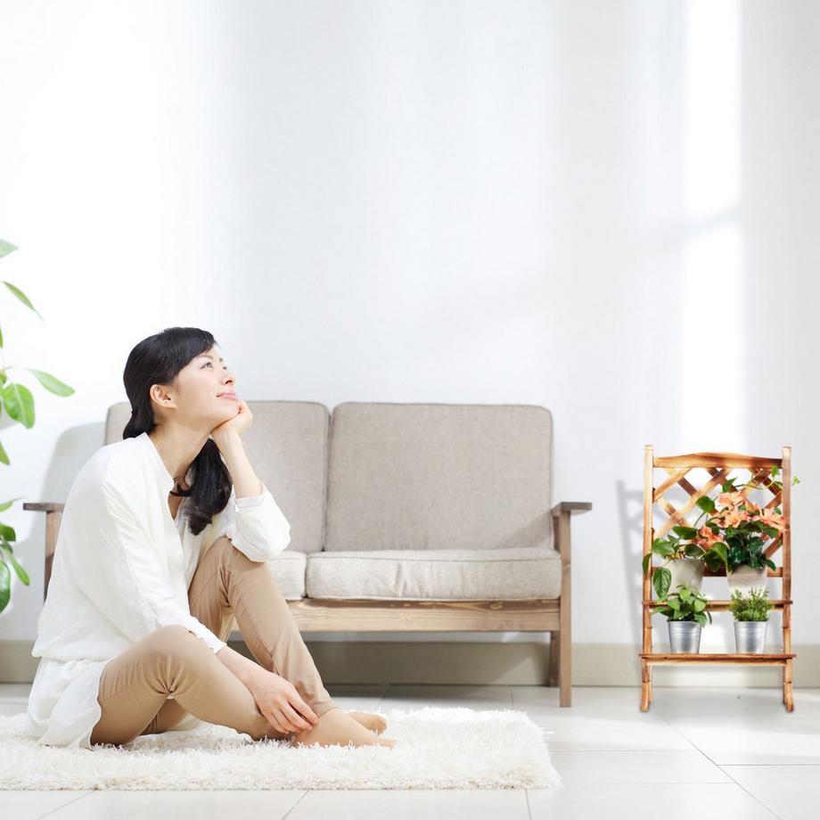 B2X Scale di fiori bruciati con traliccio  