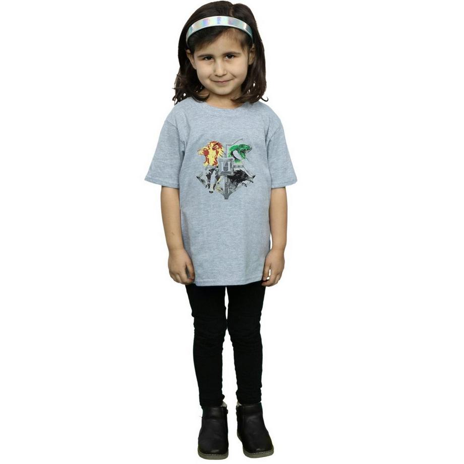 Harry Potter  Hogwarts TShirt 
