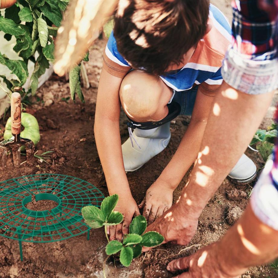 B2X  Coupe-fraise, 10 pièces 