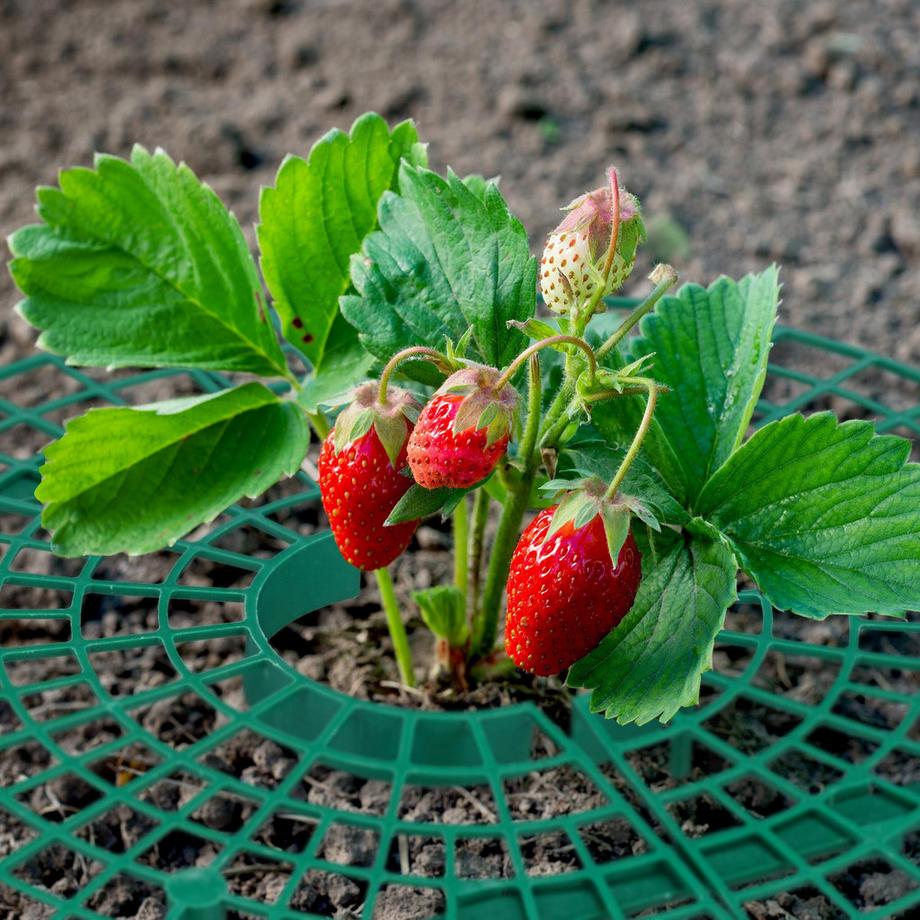 B2X  Coupe-fraise, 10 pièces 