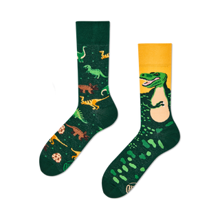 Many Mornings  The Dinosaurus  Chaussettes - Many Mornings 