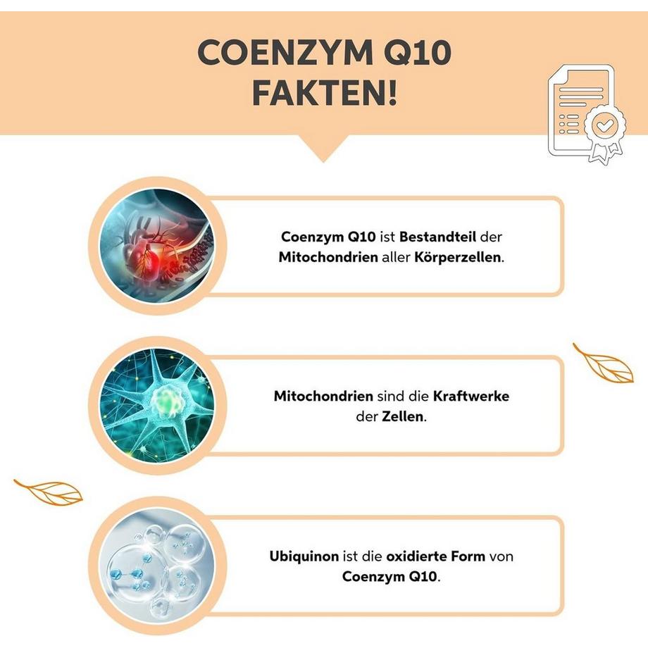 Eltabia  Coenzym Q10 Kapseln | 200mg 