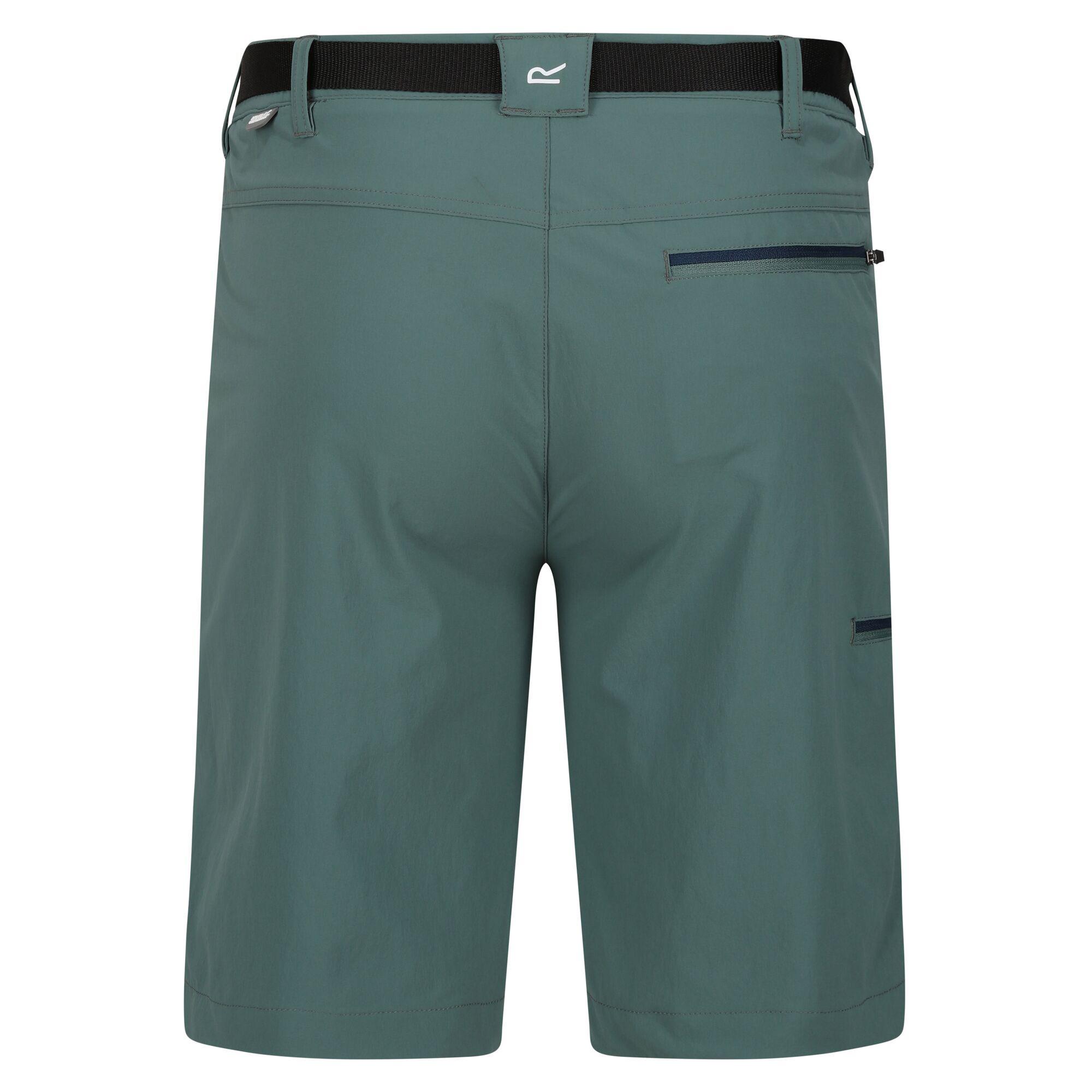 Regatta  Short XERT 