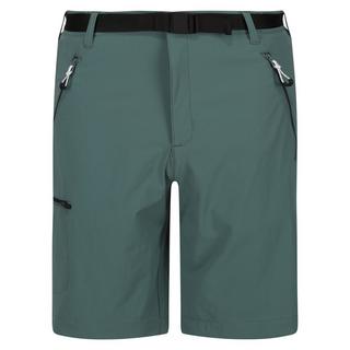 Regatta  Short XERT 