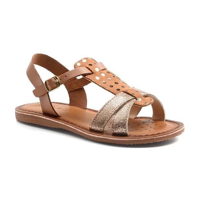 Image of Eolie Unisex Braun 35