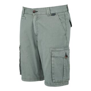 Regatta Shorebay II Cargo Shorts  
