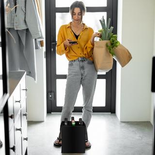 B2X Borsa Portabottiglie per 9 Bottiglie in Feltro  