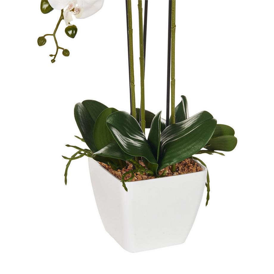 Beliani Pianta artificiale en Materiale sintetico Retrò ORCHID  