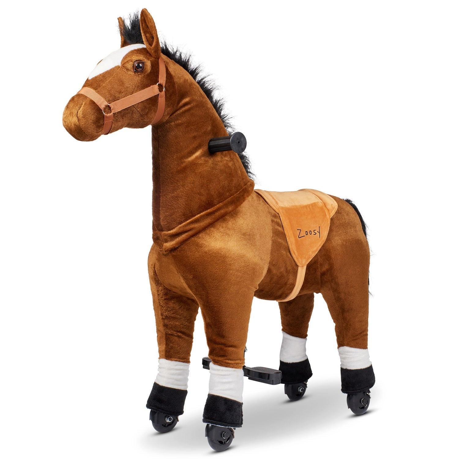 Image of Zoosy Raidony Reittier, Pferd M, Braun Braun