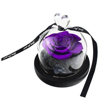 Kleine Rose im Glasglocke