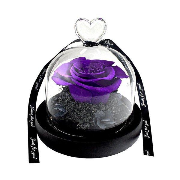 eStore Kleine Rose im Glasglocke  