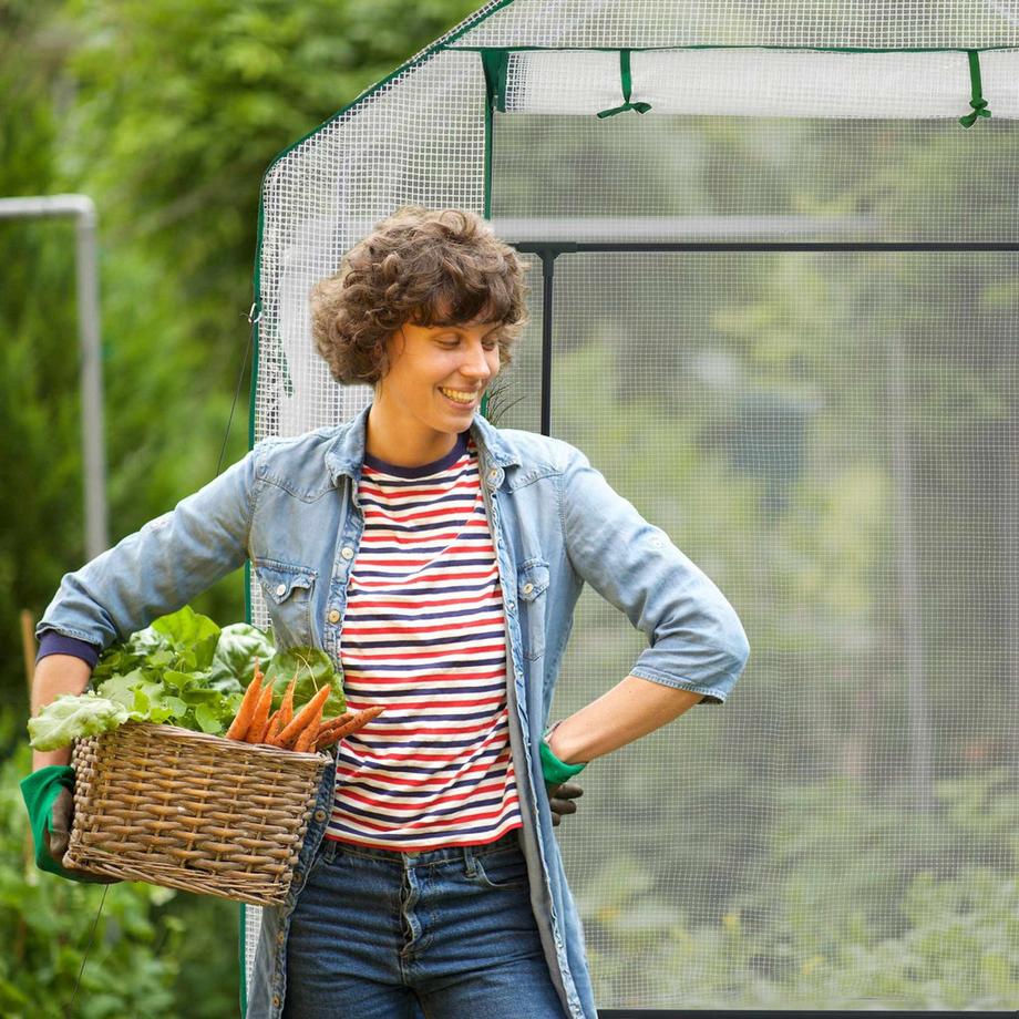 B2X Begehbares Gewächshaus mit 4 Fenstern  