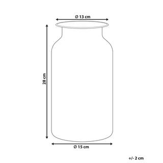 Beliani Vaso da fiori en Vetro Moderno BHATURE  