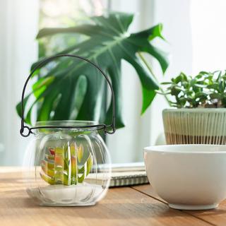 Northix Ensemble de 12 lanternes à bougies en verre  