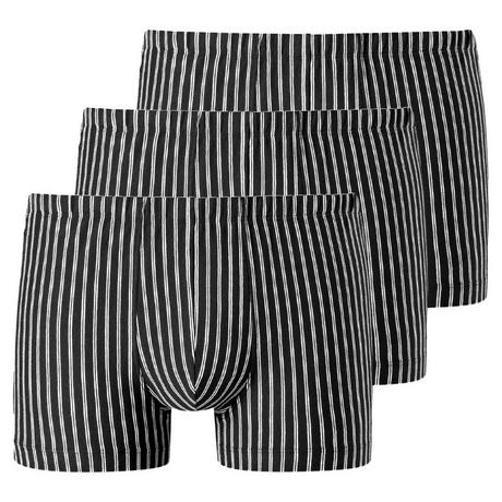 Schiesser  95/5 Essentials Organic Cotton lot de 3  - boxers 