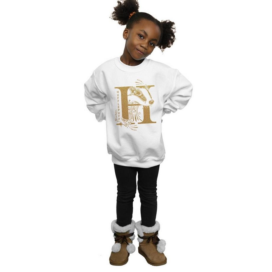 HARRY-POTTER  Hufflepuff Sweatshirt 