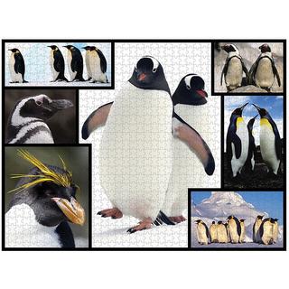 Ambassador  Puzzle Pinguine (1000Teile) 