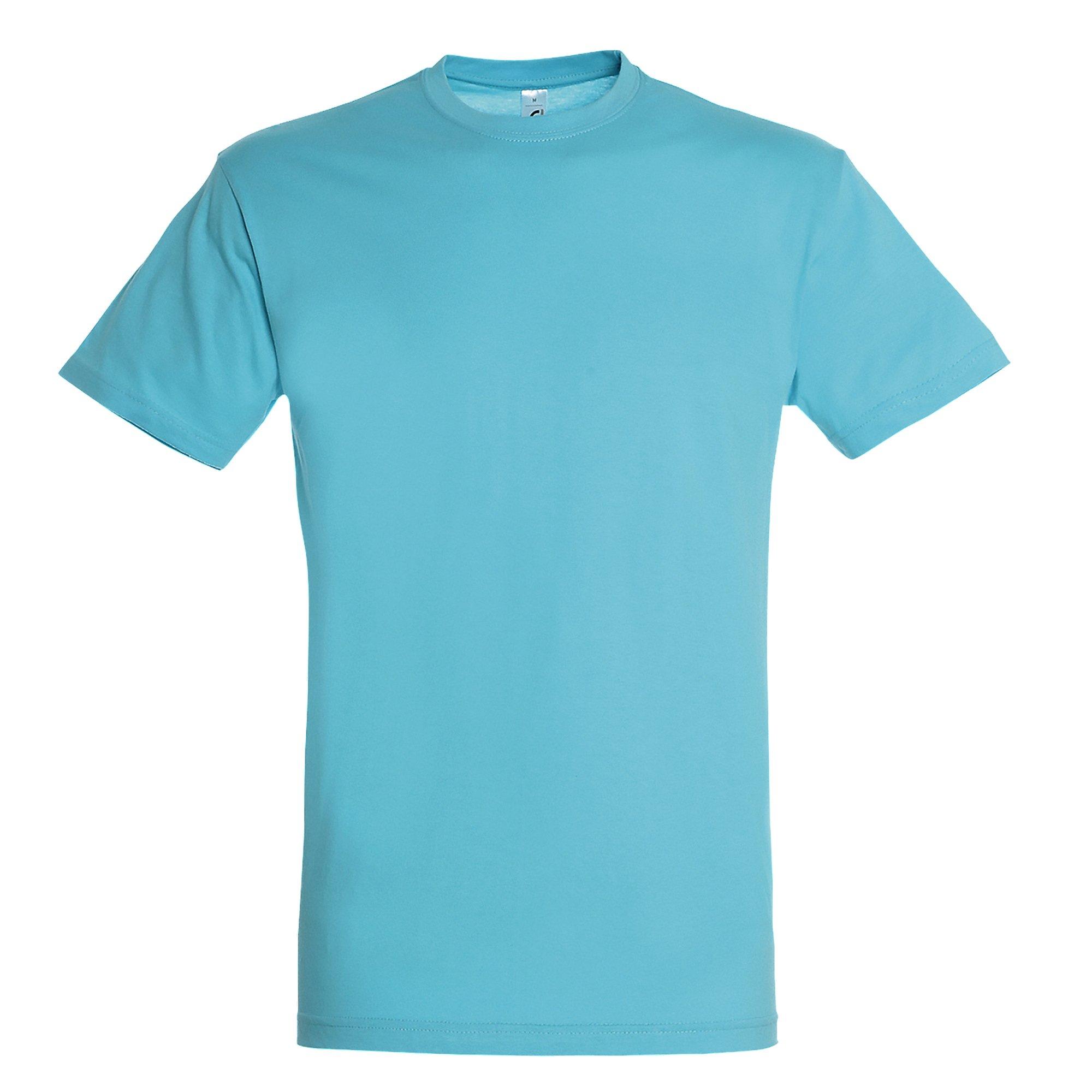 Image of Regent Tshirt, Kurzarm Herren Aquamarine L