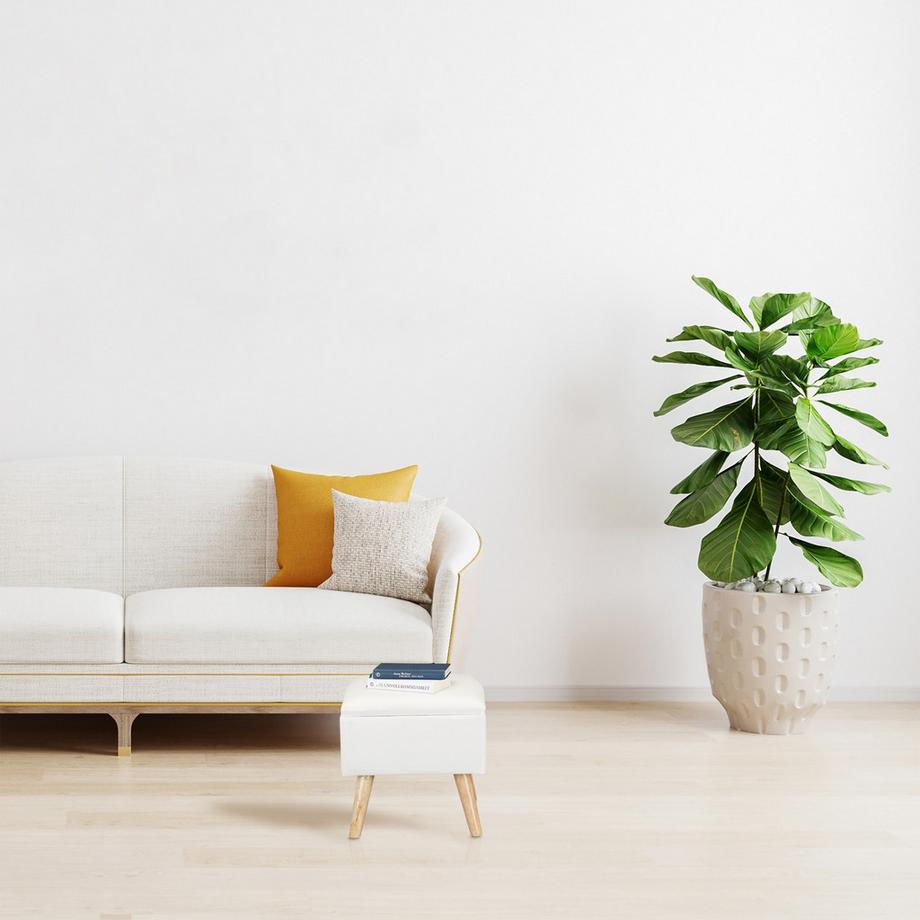 Northio Palette avec espace de stockage  