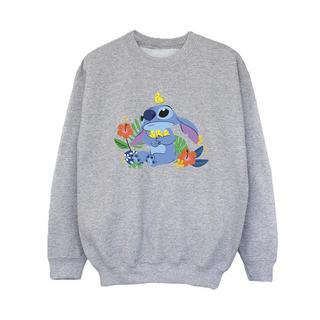 Disney  Sweatshirt 