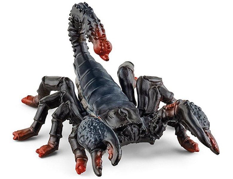 Image of Wild Life Keizerschorpioen - 14857