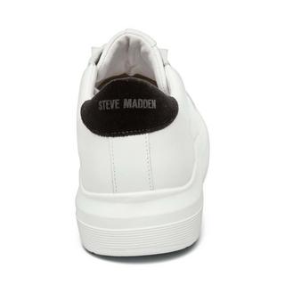 STEVE MADDEN  Sneakers Alex 