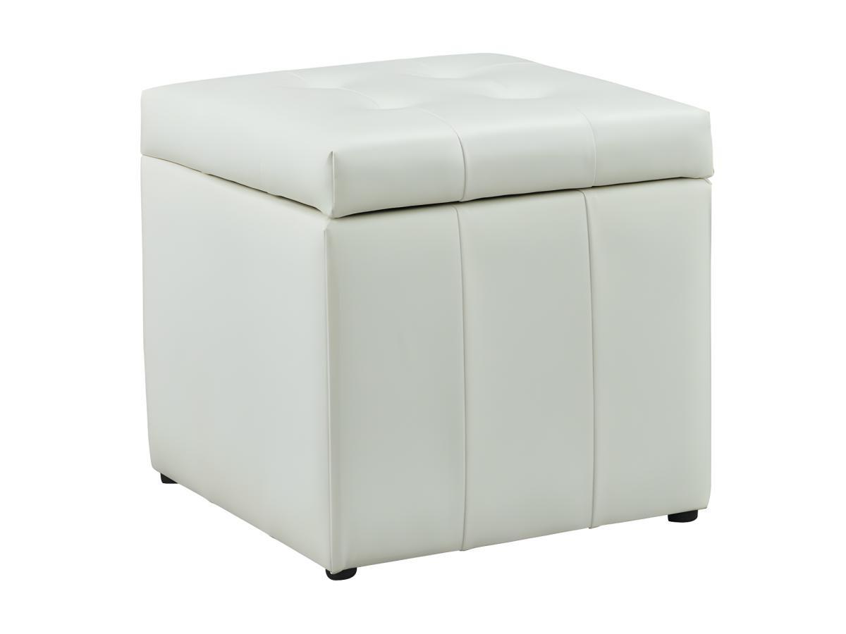 Vente-unique Pouf coffre de rangement SERAFINO en simili  