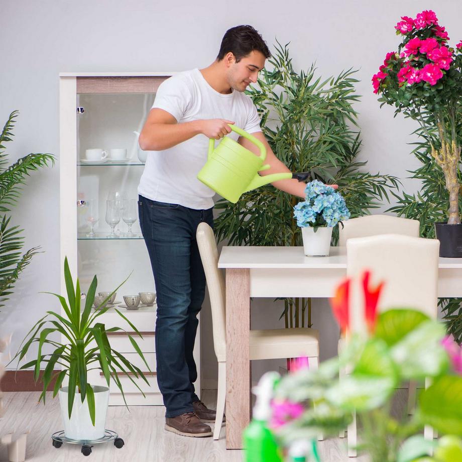 Northix Rullo per piante con freno  