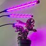 Northio Einstellbare Kultivierungslampe - LED, Timer  