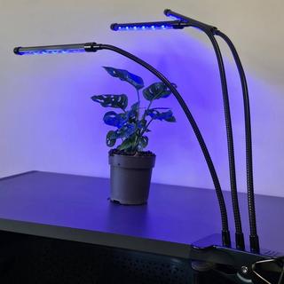 Northio Lampada da coltivazione orientabile - LED, timer  