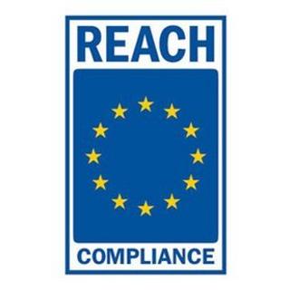 Port Designs  TORINO II zaino Zaino casual Blu Poliestere 