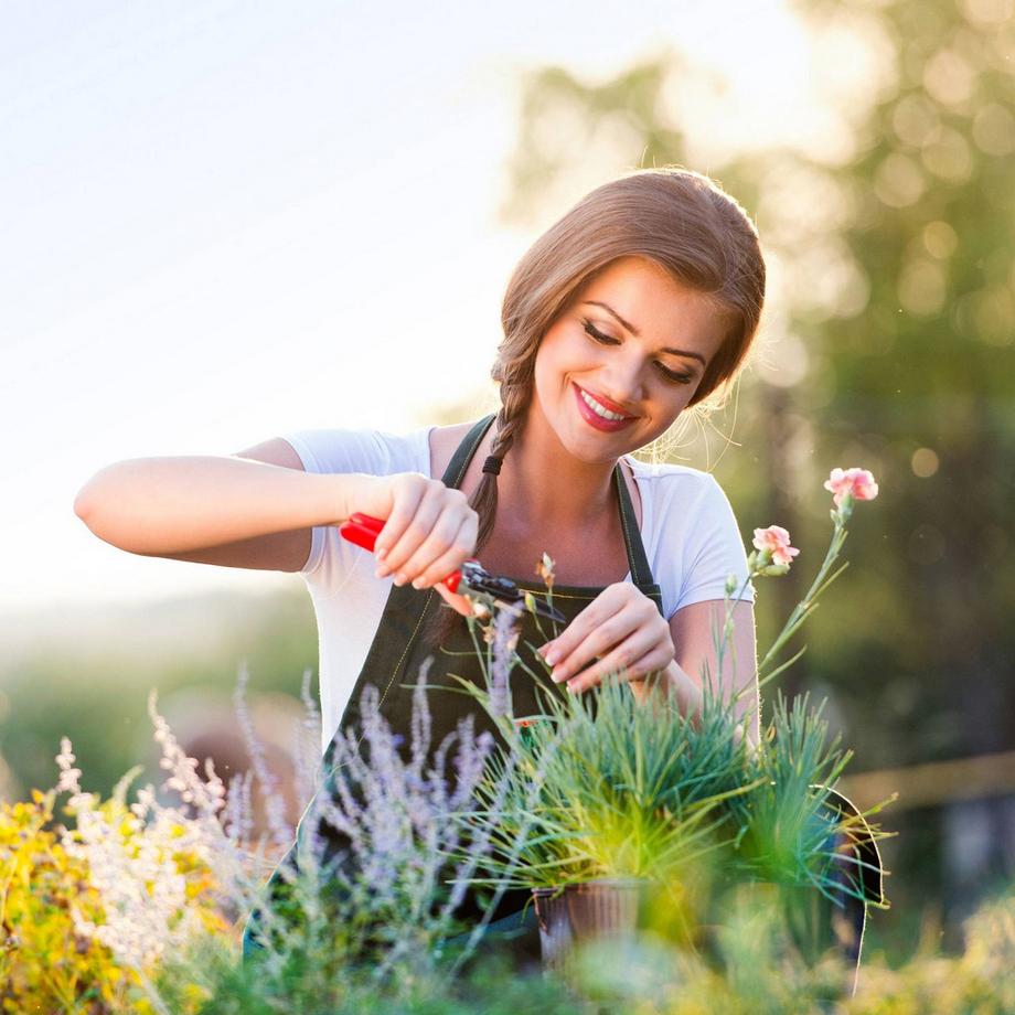 Northix Fioriera fiammata con traliccio  