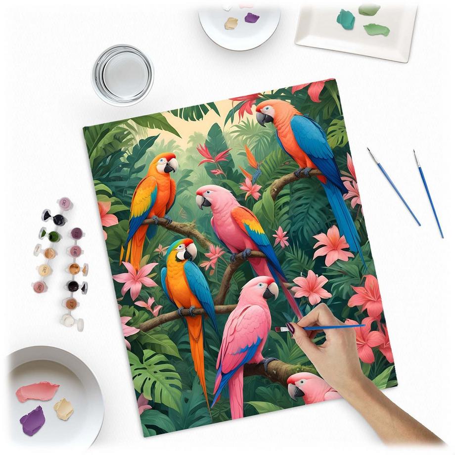 B2X Peinture par numéros 40x50 cm Massido Perroquets  