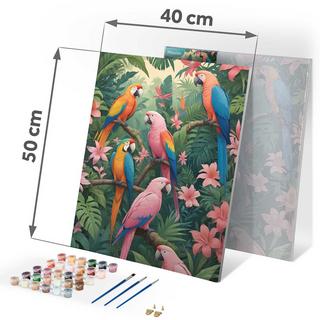 B2X Malen nach Zahlen Papageien  