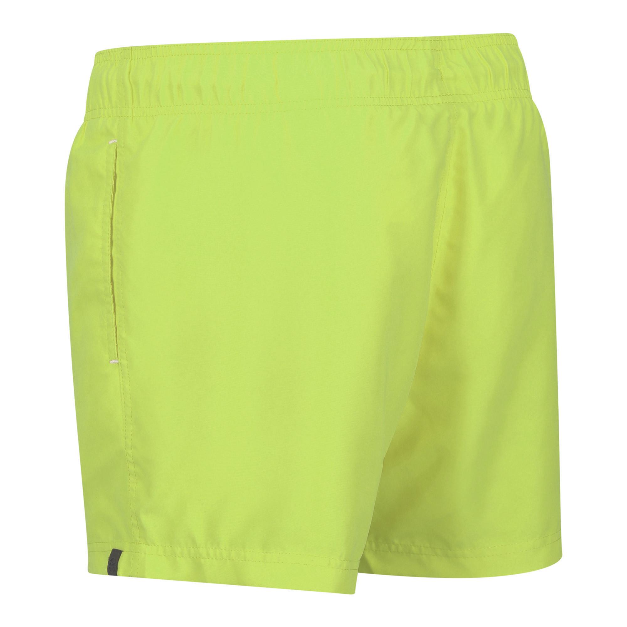 Regatta  Short de bain MAWSON 