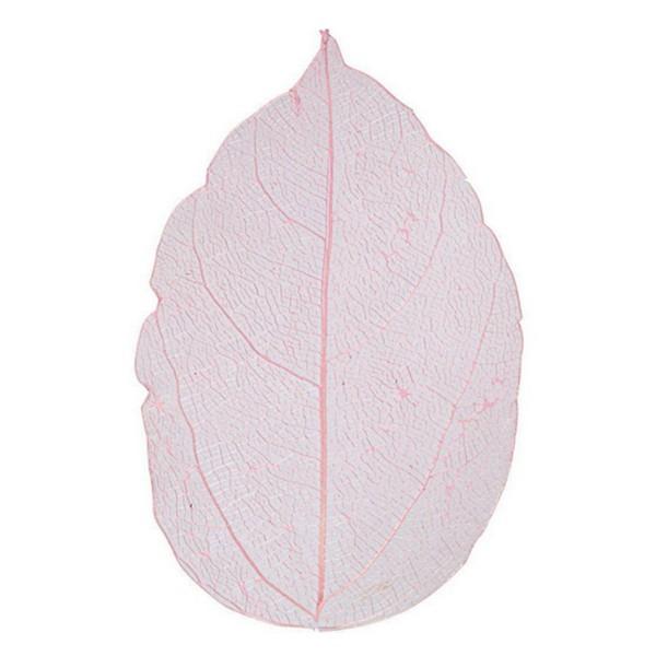 Image of 504491 Unisex Rot Bunt ONE SIZE