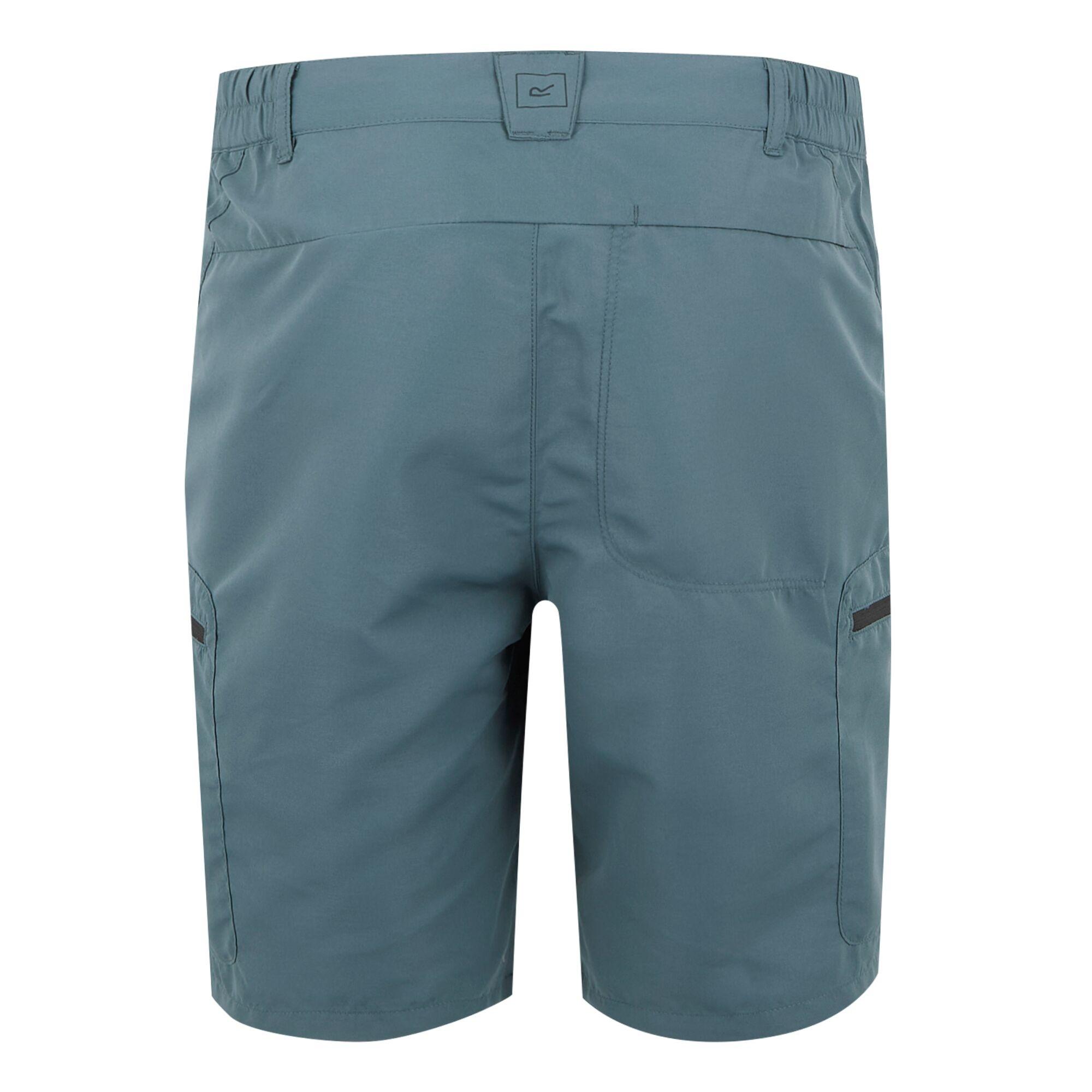 Regatta Leesville III Shorts  