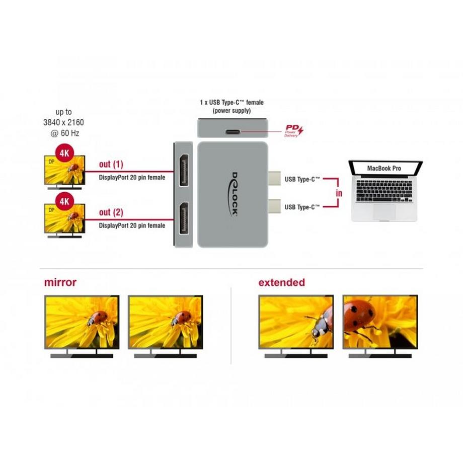 DeLock  DeLOCK 64001 câble vidéo et adaptateur 2 x USB Type-C 2 x DisplayPort Gris 