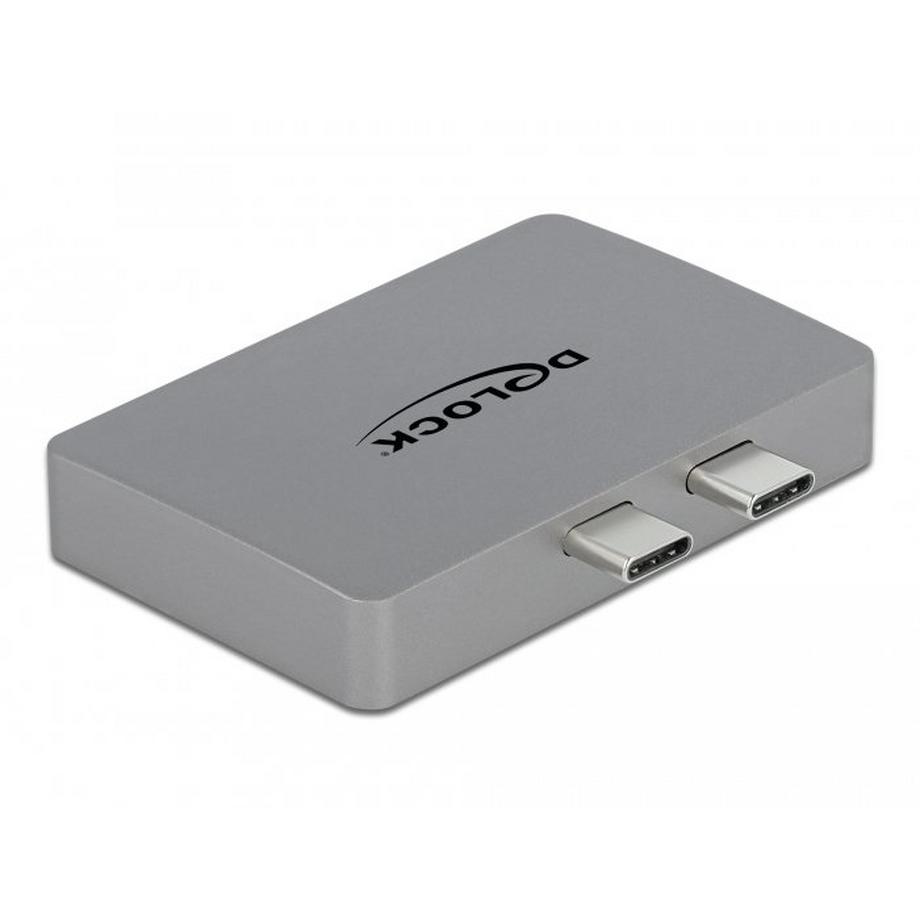 DeLOCK 64001 câble vidéo et adaptateur 2 x USB Type-C 2 x DisplayPort Gris