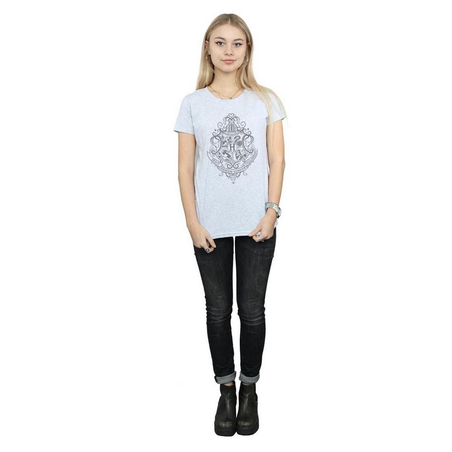 Harry Potter Hogwarts Draco Dormiens T-Shirt  