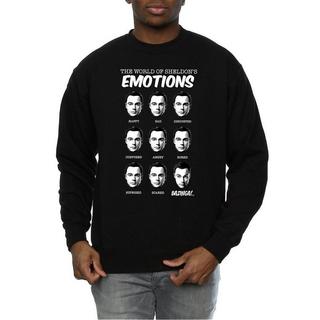 The Big Bang Theory  Sweat 