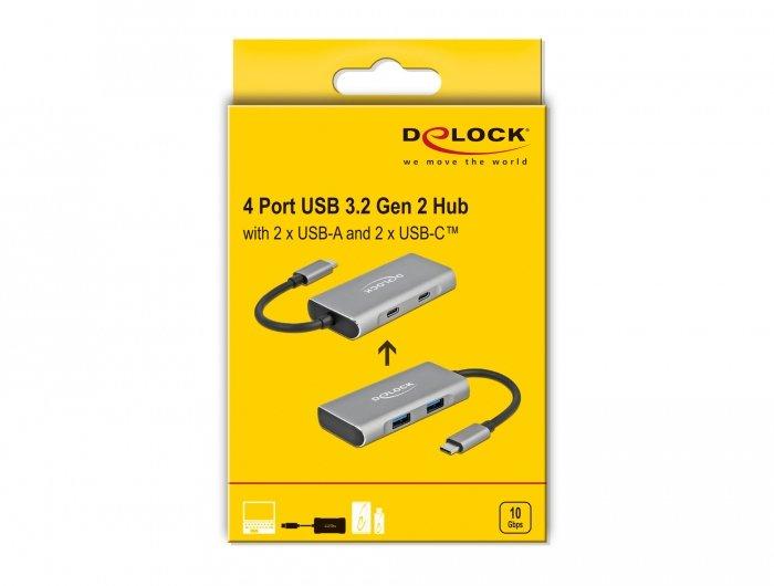 DeLock  63260 hub & concentrateur USB 3.2 Gen 2 (3.1 Gen 2) Type-C 10000 Mbit/s Gris 