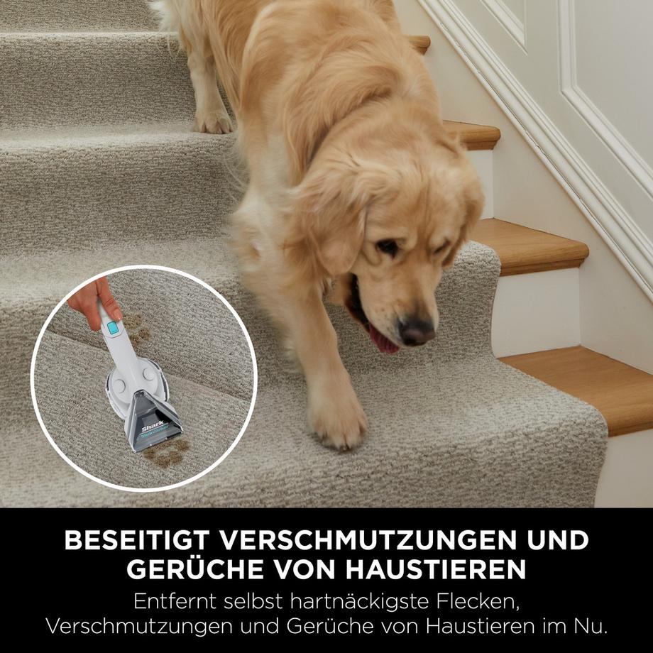 Shark StainStriker nettoyant pour taches et meubles rembourrés  