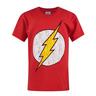 Flash offizielles Distress Logo TShirt  Rot Bunt