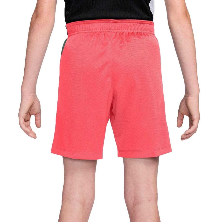 NIKE  Strike Fußballshorts 