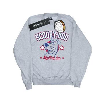 Collegiate Sweatshirt